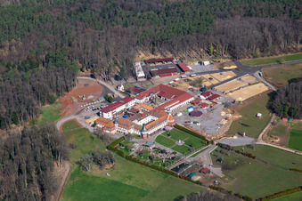 Pferdepension Kloster Liebfrauenberg - Stall Fried in Bad Bergzabern im Bundesland Rheinland-Pfalz, Deutschland