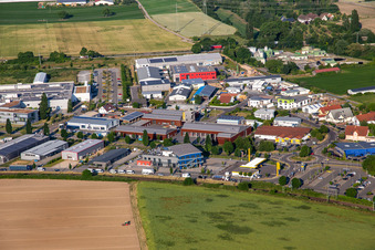Netto am Nordring in Rülzheim im Bundesland Rheinland-Pfalz, Deutschland