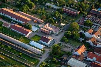 Luftbild von Abgebrannte landwirtschaftliche Lagerhalle Am Ettenbaum in Kandel im Bundesland Rheinland-Pfalz, Deutschland