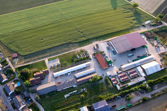 Biohof Kugelmann in Kandel im Bundesland Rheinland-Pfalz, Deutschland von einer Drohne aus