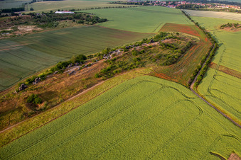 Teufelsmauer im Ortsteil Weddersleben in Thale im Bundesland Sachsen-Anhalt, Deutschland