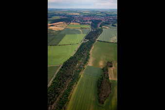 Westerhäuser Straße in Quedlinburg im Bundesland Sachsen-Anhalt, Deutschland