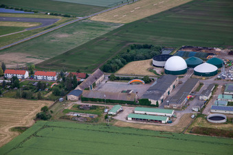 Schweinemastanlage Ballenstedt GbR im Ortsteil Asmusstedt im Bundesland Sachsen-Anhalt, Deutschland