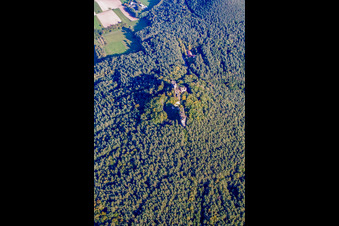 Burgruine Drachenfels in Busenberg im Bundesland Rheinland-Pfalz, Deutschland vom Flugzeug aus
