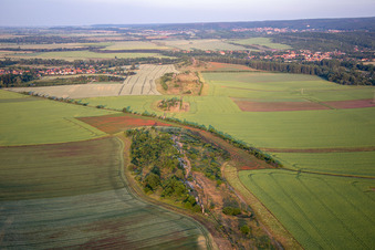 Warnstedter Teufelsmauer von Westen in Thale im Bundesland Sachsen-Anhalt, Deutschland