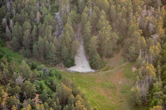 Orakelfelsen, Kucksburg im Ortsteil Timmenrode in Blankenburg im Bundesland Sachsen-Anhalt, Deutschland