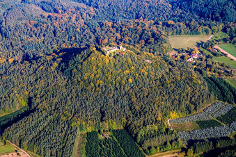 Burgruine Lindelbrunn in Vorderweidenthal im Bundesland Rheinland-Pfalz, Deutschland von der Drohne aus gesehen