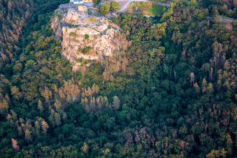 Burg und Festung Regenstein in Blankenburg im Bundesland Sachsen-Anhalt, Deutschland vom Flugzeug aus