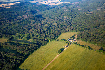 Luftbild von Ludwigstrauch im Ortsteil Grillenberg in Sangerhausen im Bundesland Sachsen-Anhalt, Deutschland