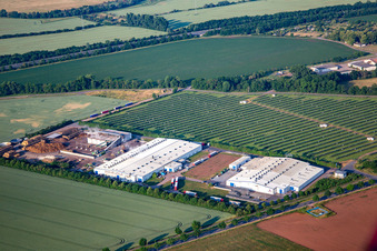 Pilzhof Pilzsubstrat Wallhausen GmbH vor dem Solarfeld Wallhausen im Bundesland Sachsen-Anhalt, Deutschland