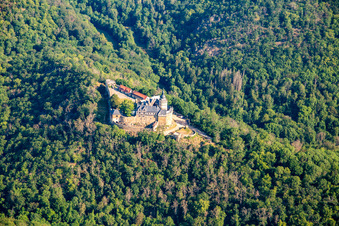 Luftaufnahme von Burg Falkenstein (Harz) im Ortsteil Pansfelde im Bundesland Sachsen-Anhalt, Deutschland