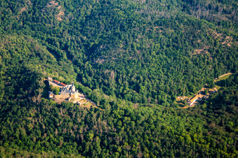 Schrägluftbild von Burg Falkenstein (Harz) im Ortsteil Pansfelde im Bundesland Sachsen-Anhalt, Deutschland