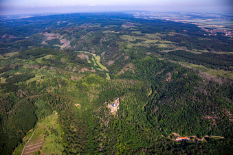 Burg Falkenstein (Harz) im Ortsteil Pansfelde im Bundesland Sachsen-Anhalt, Deutschland aus der Luft