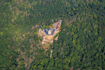 Burg Falkenstein (Harz) im Ortsteil Pansfelde im Bundesland Sachsen-Anhalt, Deutschland von oben gesehen