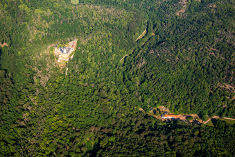 Burg Falkenstein (Harz) im Ortsteil Pansfelde im Bundesland Sachsen-Anhalt, Deutschland vom Flugzeug aus