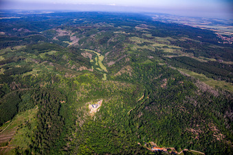 Burg Falkenstein (Harz) im Ortsteil Pansfelde im Bundesland Sachsen-Anhalt, Deutschland aus der Vogelperspektive