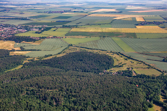Golfclub Schloß Meisdorf e.V in Falkenstein im Bundesland Sachsen-Anhalt, Deutschland