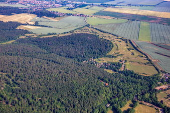 Luftbild von Golfclub Schloß Meisdorf e.V in Falkenstein im Bundesland Sachsen-Anhalt, Deutschland