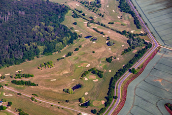 Schrägluftbild von Golfclub Schloß Meisdorf e.V in Falkenstein im Bundesland Sachsen-Anhalt, Deutschland