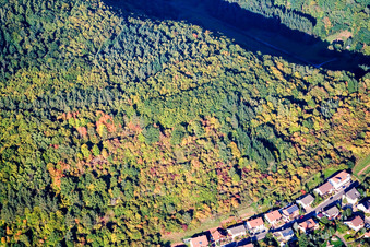 Am Wingertsberg in Waldhambach im Bundesland Rheinland-Pfalz, Deutschland