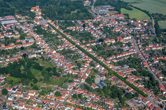 Allee zum Schloß in Ballenstedt im Bundesland Sachsen-Anhalt, Deutschland