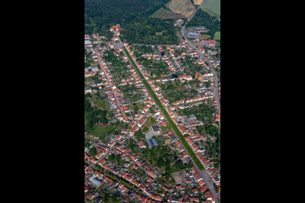 Luftbild von Allee zum Schloß in Ballenstedt im Bundesland Sachsen-Anhalt, Deutschland
