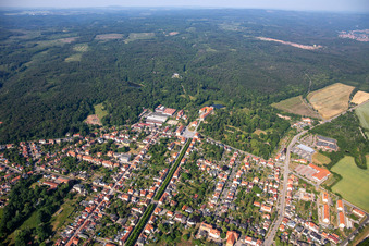 Schrägluftbild von Allee zum Schloss in Ballenstedt im Bundesland Sachsen-Anhalt, Deutschland