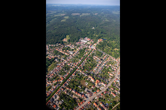 Allee zum Schloß in Ballenstedt im Bundesland Sachsen-Anhalt, Deutschland von oben
