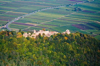 Burgruine Madenburg von Westen in Eschbach im Bundesland Rheinland-Pfalz, Deutschland