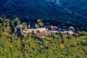 Schrägluftbild von Burgruine Madenburg von Westen in Eschbach im Bundesland Rheinland-Pfalz, Deutschland