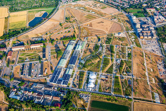 Gesamtüberblick von Nord vom Spinelli-Park der Bundesgartenschau Mannheim BUGA 2023 mit Seilbahn zum Luisenpark im Ortsteil Feudenheim im Bundesland Baden-Württemberg, Deutschland