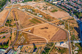 Conversio: Philipp Morlockm, Eidechsenhabitat Molchgewässer in der  Panzerwaschanlage im Spinelli-Park der Bundesgartenschau Mannheim BUGA 2023 im Ortsteil Käfertal im Bundesland Baden-Württemberg, Deutschland