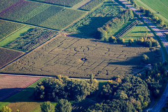 Maislabyrinth in Göcklingen im Bundesland Rheinland-Pfalz, Deutschland