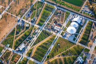 Hauptbühne im Spinelli-Park der Bundesgartenschau Mannheim BUGA 2023 im Ortsteil Käfertal im Bundesland Baden-Württemberg, Deutschland