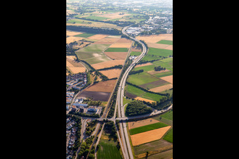 Autobahn A659 in Viernheim im Bundesland Hessen, Deutschland
