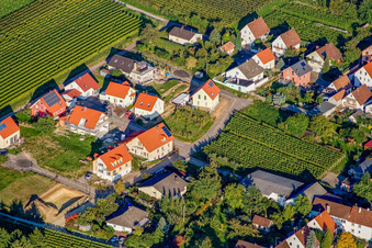 Am Kieselberg in Göcklingen im Bundesland Rheinland-Pfalz, Deutschland