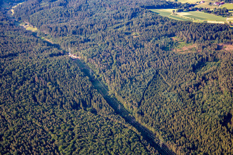 Waldschneise für die Hochspannungsleitung im Ortsteil Hüttenthal in Mossautal im Bundesland Hessen, Deutschland