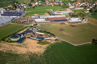 Siefert Horst im Ortsteil Vielbrunn in Michelstadt im Bundesland Hessen, Deutschland