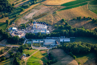 Gärtnerei Leeder GbR in Fürth im Bundesland Hessen, Deutschland