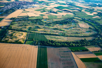 Golfplatz Heddesheim Gut Neuzenhof im Bundesland Baden-Württemberg, Deutschland aus der Luft betrachtet