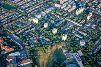 Feldbergstr im Ortsteil Niederfeld in Mannheim im Bundesland Baden-Württemberg, Deutschland