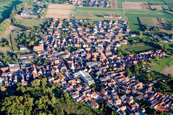 Luftbild von Ortsansicht der Straßen und Häuser der Wohngebiete im Ortsteil Ingenheim in Billigheim-Ingenheim im Bundesland Rheinland-Pfalz, Deutschland