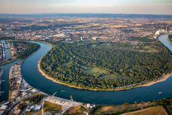 Reißinsel und Waldpark, Naturschutzgebiet in der Rheinschleife von Süden im Ortsteil Niederfeld in Mannheim im Bundesland Baden-Württemberg, Deutschland