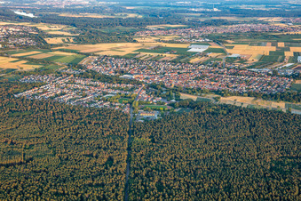 Iggelheimer Straße durch den Wald in Dudenhofen im Bundesland Rheinland-Pfalz, Deutschland