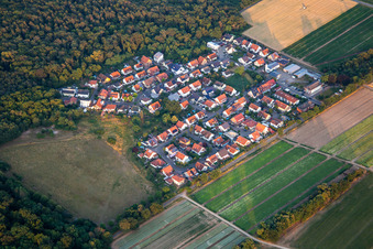Buchenstr in Schwegenheim im Bundesland Rheinland-Pfalz, Deutschland