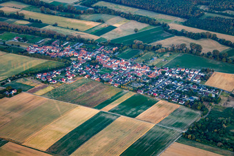 Herxheimweyher von Norden im Bundesland Rheinland-Pfalz, Deutschland