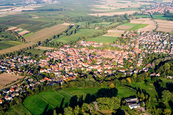 Billigheim von Westen in Billigheim-Ingenheim im Bundesland Rheinland-Pfalz, Deutschland