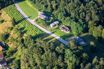 Schrägluftbild von Ptuj, Slowenien