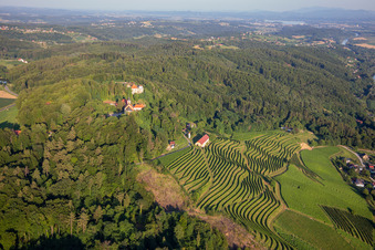 Kirche Župnijska cerkev sv. Marije Vnebovzete und Café Huda Liza über den Weinbergen des Vurberg in Duplek, Slowenien