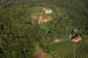 Luftaufnahme von Kirche Župnijska cerkev sv. Marije Vnebovzete und Café Huda Liza über den Weinbergen des Vurberg in Duplek, Slowenien